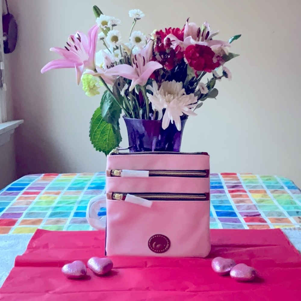 💝 DOONEY & BOURKE NYLON NORTH SOUTH TRIPLE ZIP CROSSBODY 💝 NWT 💝